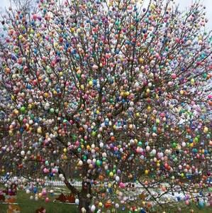 Meet your Posher, Jan